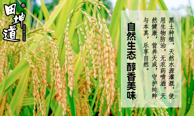 田坤道 深耕食用農產品研發，于平凡中鑄就非凡財富